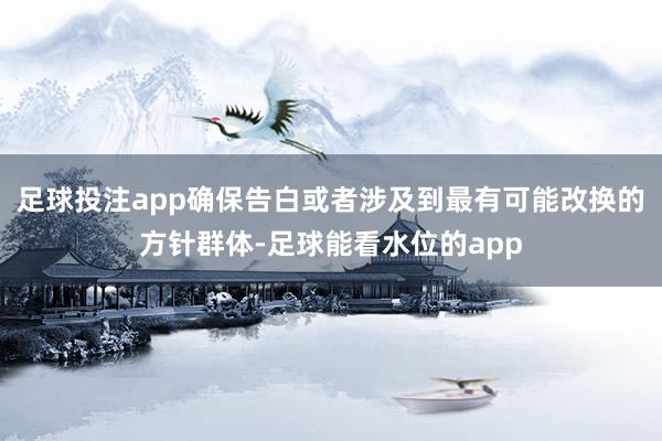 足球投注app确保告白或者涉及到最有可能改换的方针群体-足球能看水位的app
