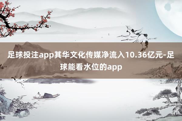 足球投注app其华文化传媒净流入10.36亿元-足球能看水位的app