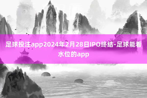 足球投注app2024年2月28日IPO终结-足球能看水位的app