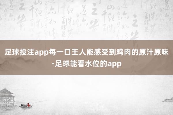 足球投注app每一口王人能感受到鸡肉的原汁原味-足球能看水位的app