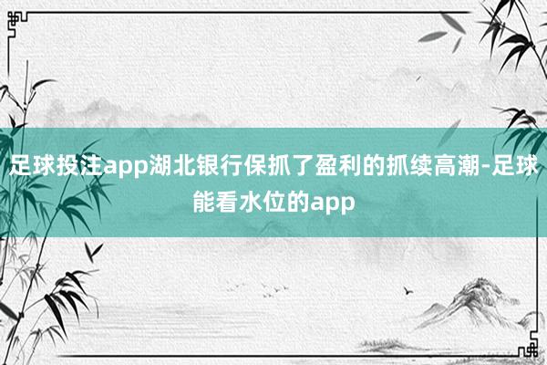 足球投注app湖北银行保抓了盈利的抓续高潮-足球能看水位的app