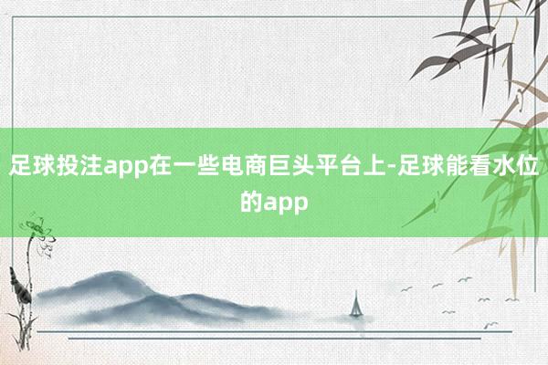 足球投注app在一些电商巨头平台上-足球能看水位的app