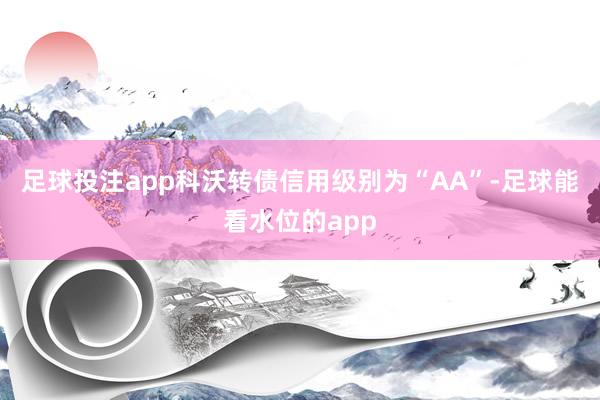 足球投注app科沃转债信用级别为“AA”-足球能看水位的app