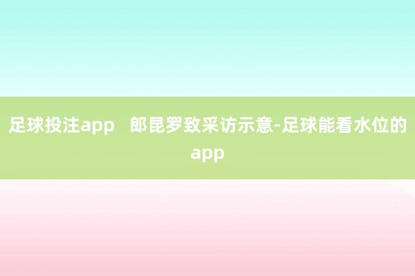 足球投注app   郎昆罗致采访示意-足球能看水位的app