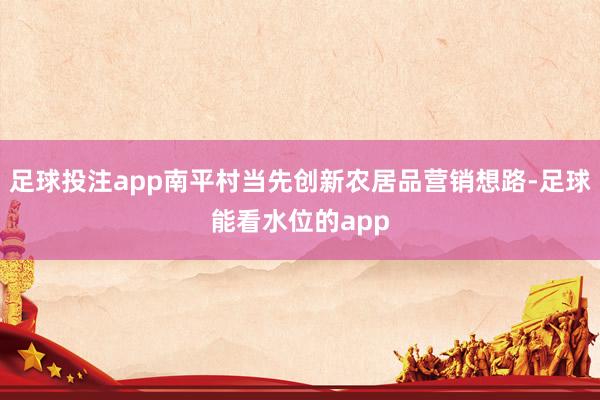 足球投注app南平村当先创新农居品营销想路-足球能看水位的app