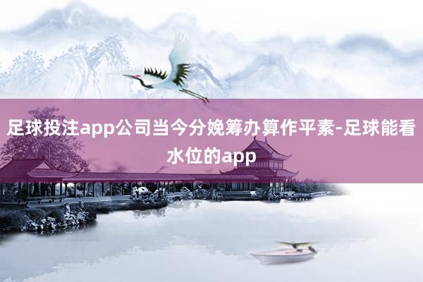 足球投注app公司当今分娩筹办算作平素-足球能看水位的app